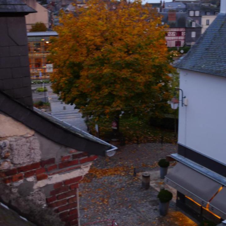 Photo of Others in Honfleur