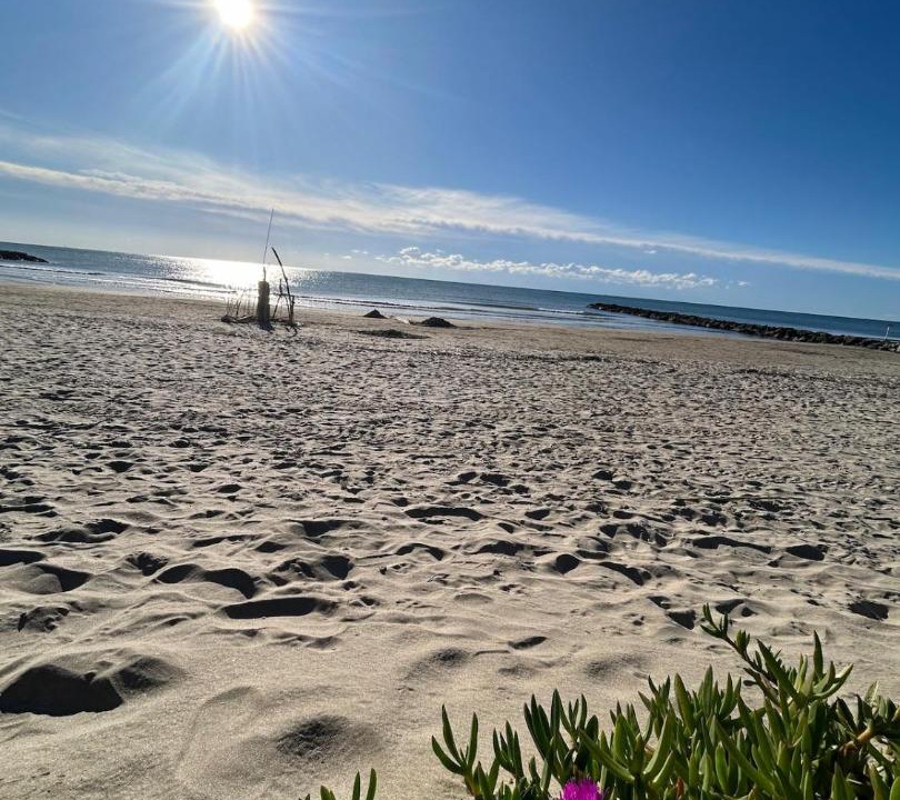 Photo of Others in Carnon-Plage