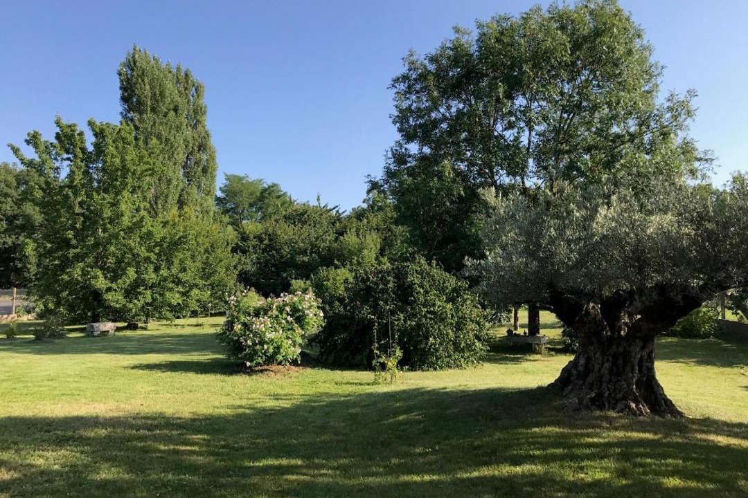 Photo of Outdoor in Vouneuil-sous-Biard