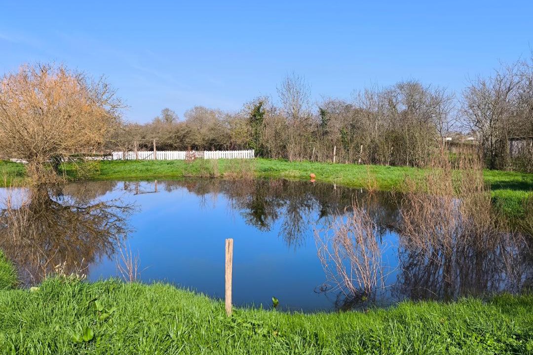 Photo of Others in Vendee - Sevre - Autise