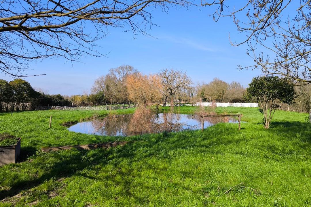 Photo of Others in Vendee - Sevre - Autise