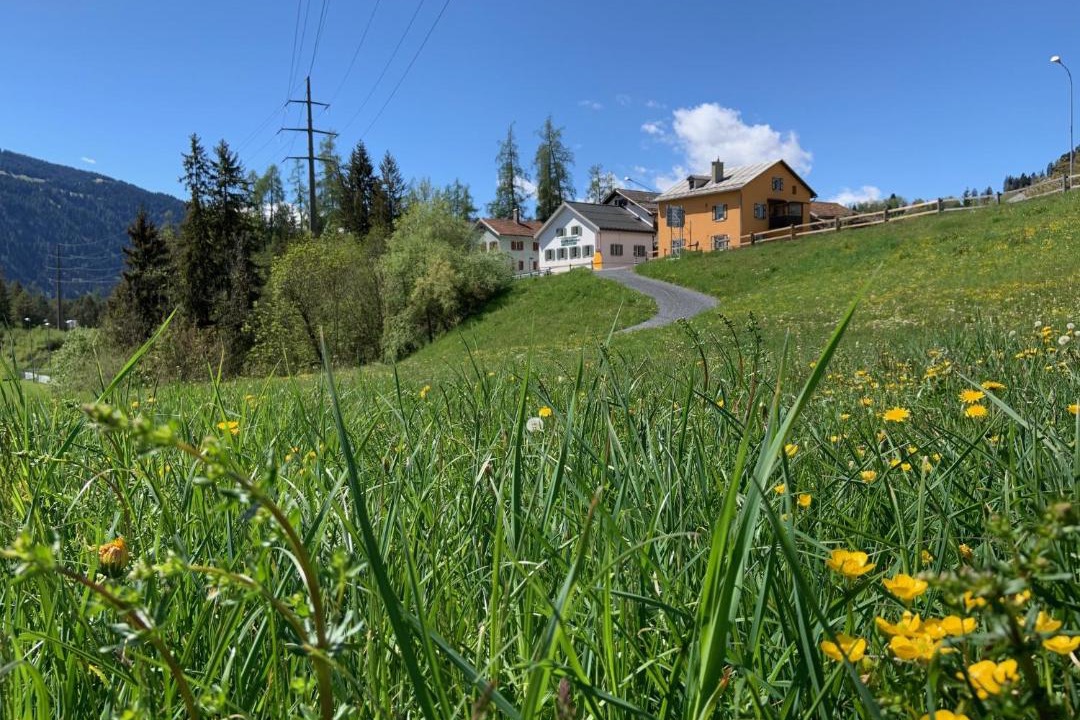 Photo of Others in Laax