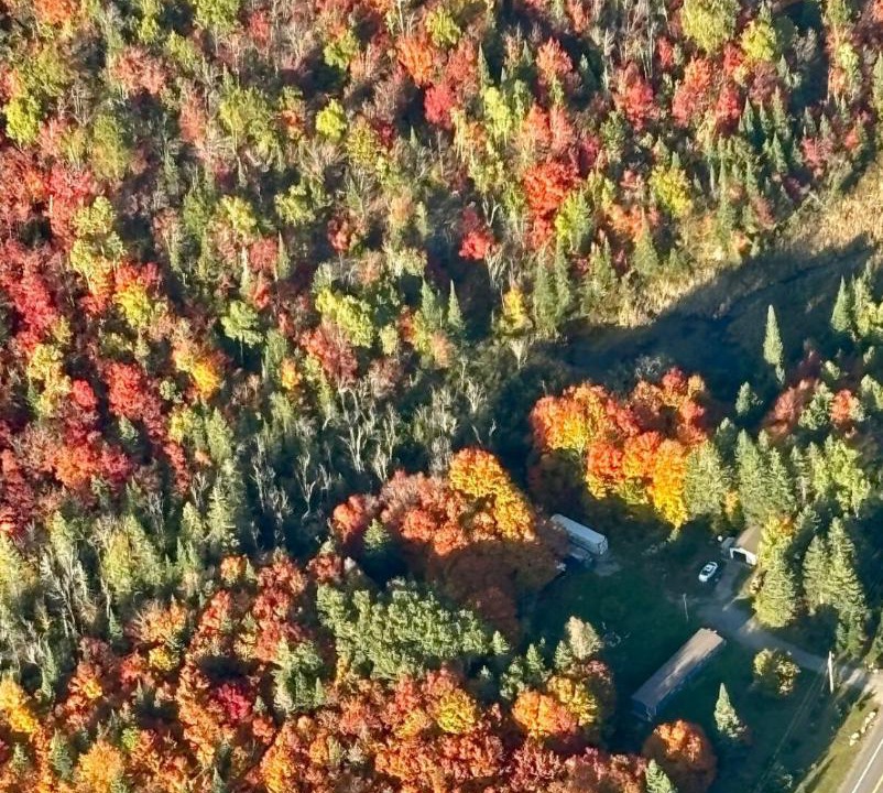 Photo of Others in Algoma District
