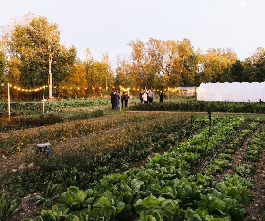 Photo of Outdoor in Stanbridge East