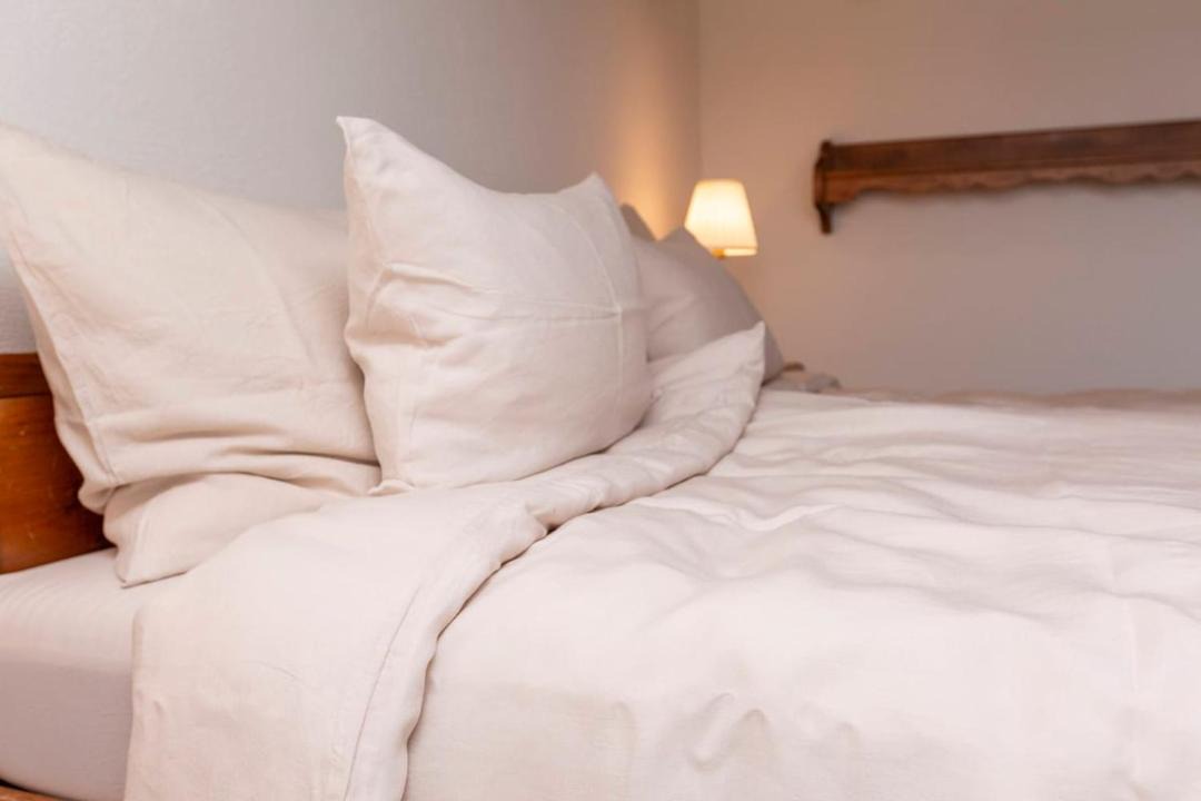 Photo of Bedroom in Horgen District