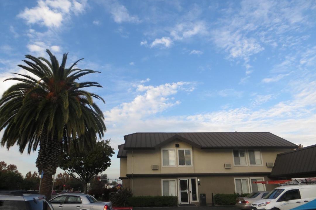 Photo of Others in Snail