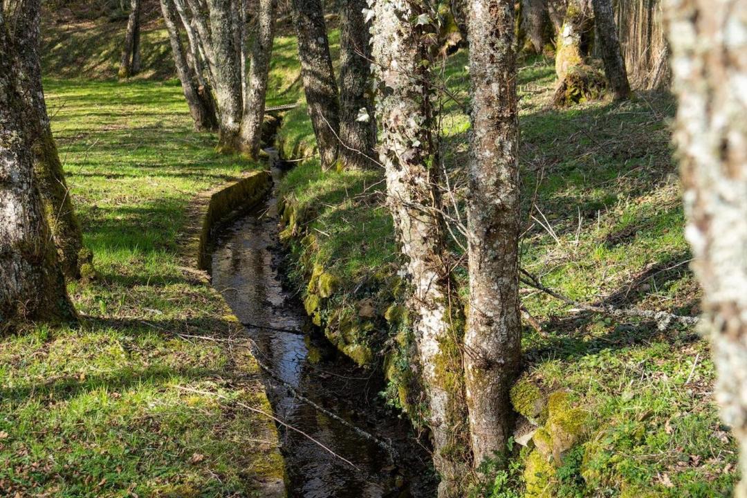 Photo of Others in Manzat