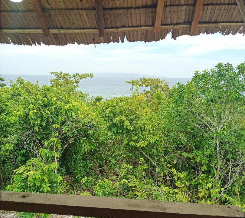 Photo of Others in Tomia Island