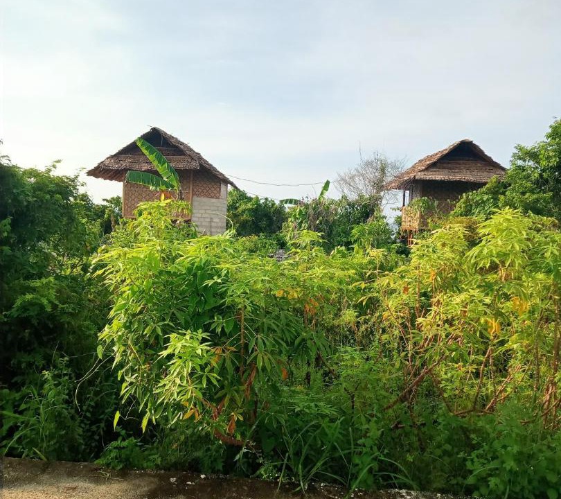 Photo of Others in Tomia Island