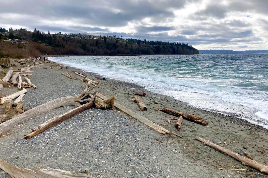 Photo of Others in Richmond Beach