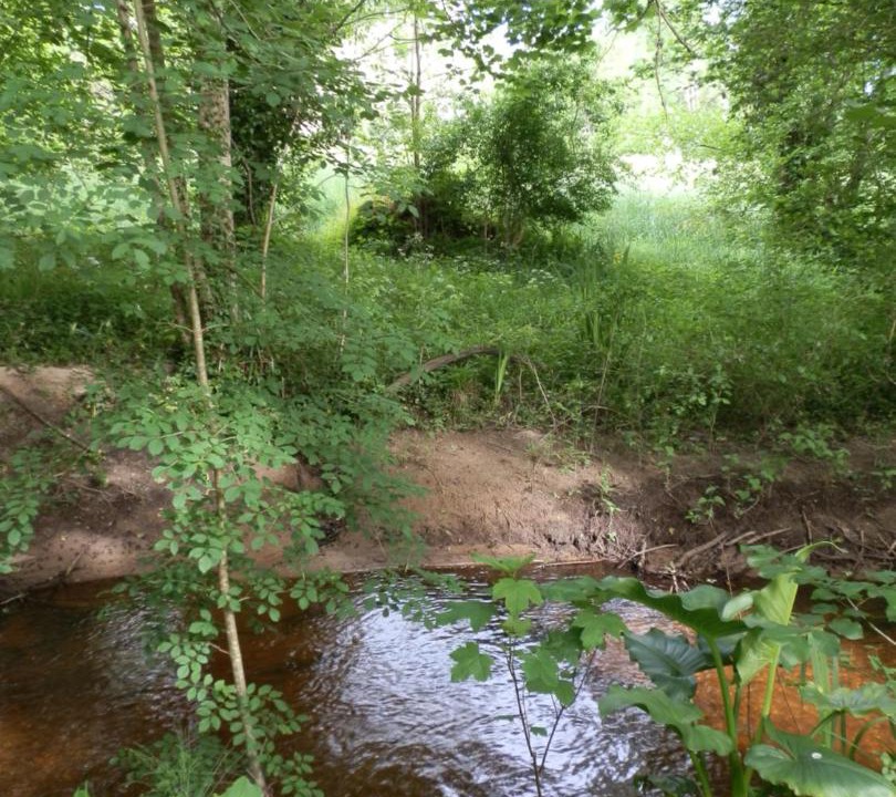 Photo of Others in Leognan