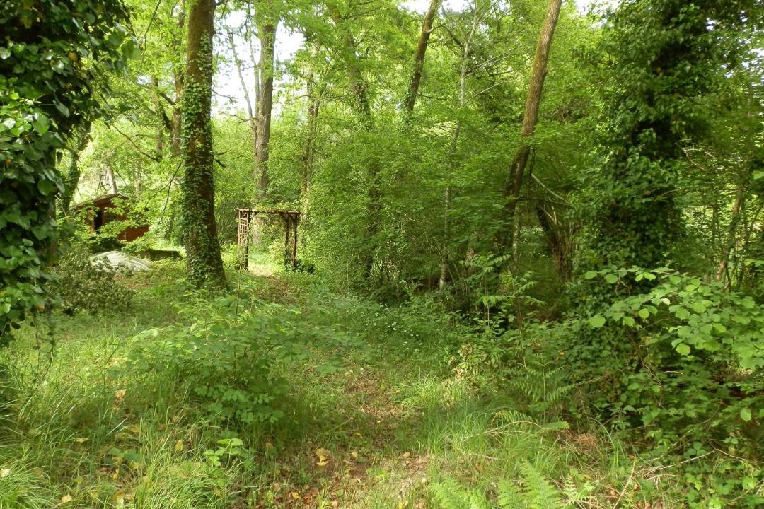 Photo of Others in Leognan