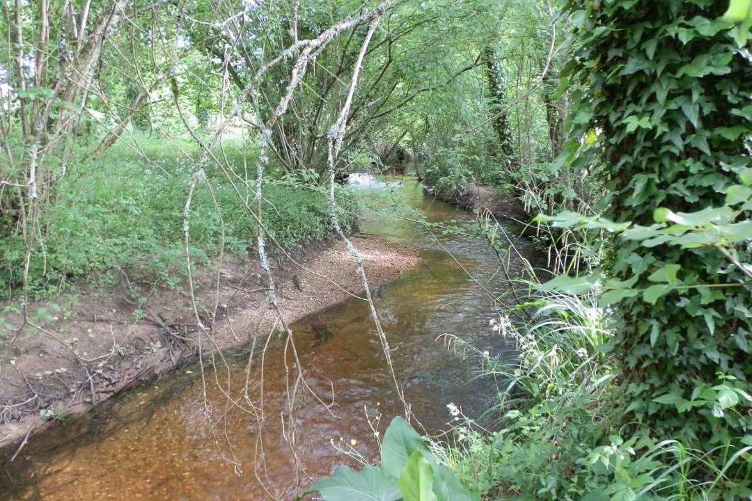 Photo of Others in Leognan