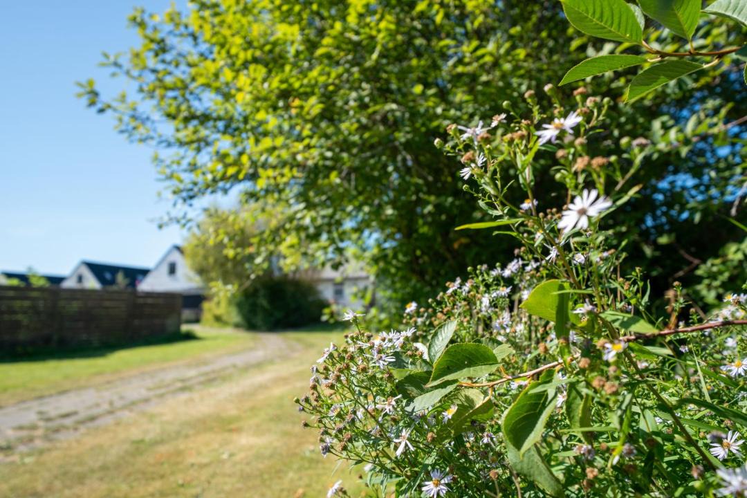 Photo of Outdoor in Slette Strand