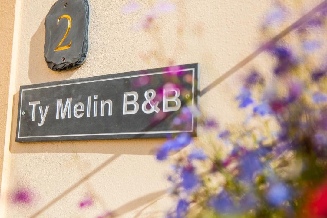 Photo of Others in Cosheston