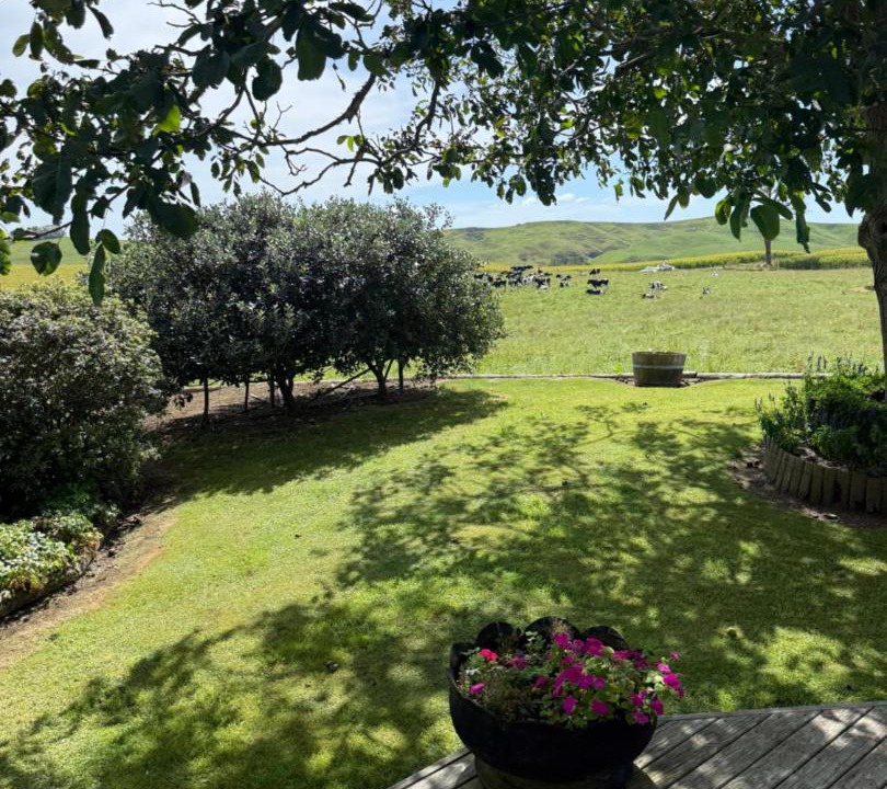 Photo of Others in Matamata