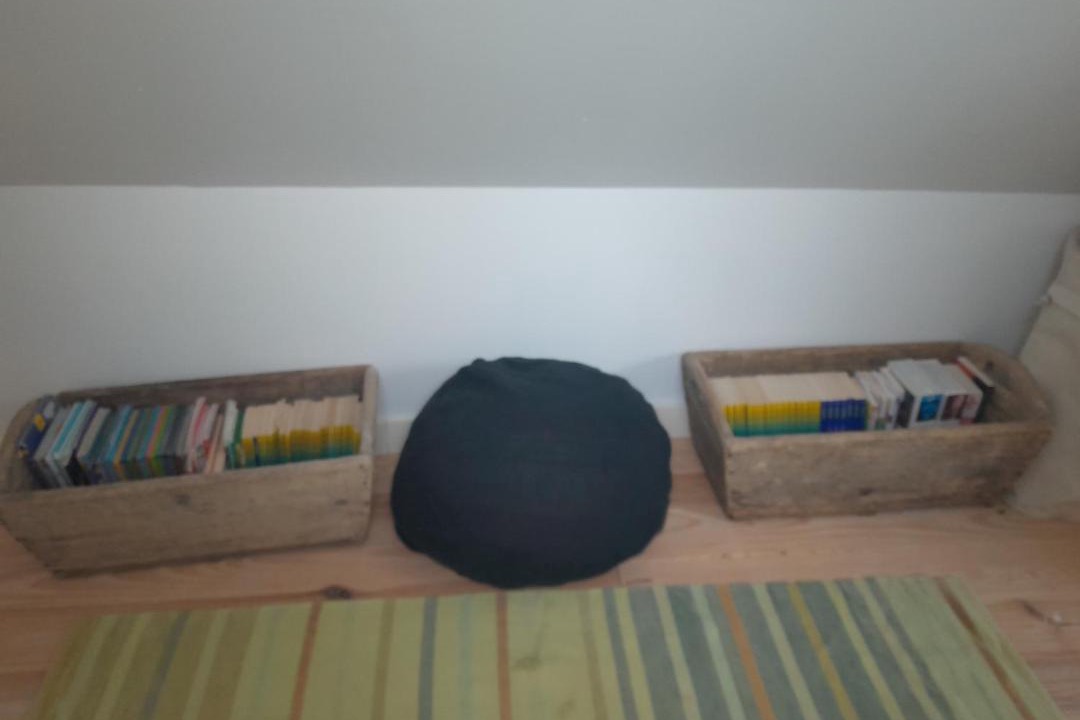 Photo of Others in Orbigny