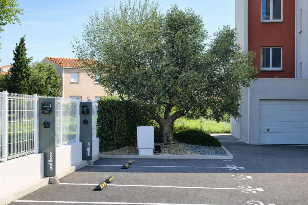 Photo of Others in Perpignan