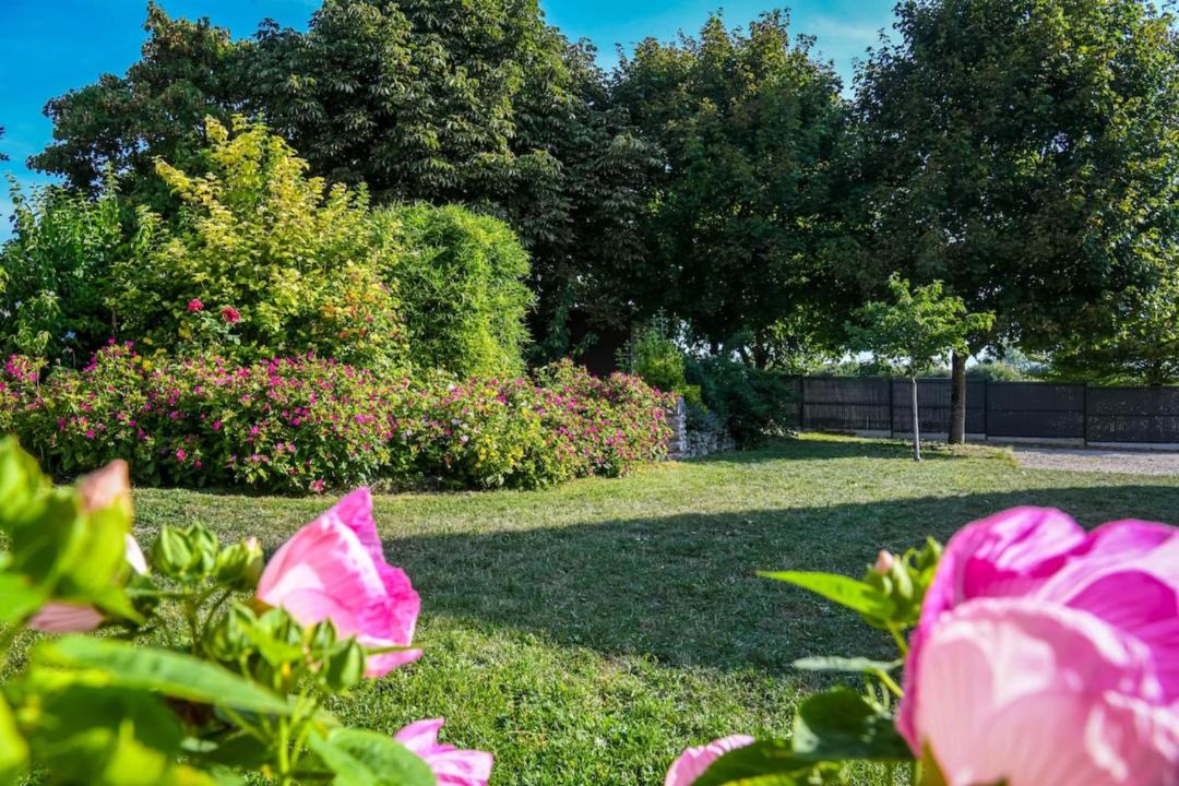 Photo of Outdoor in Baccon