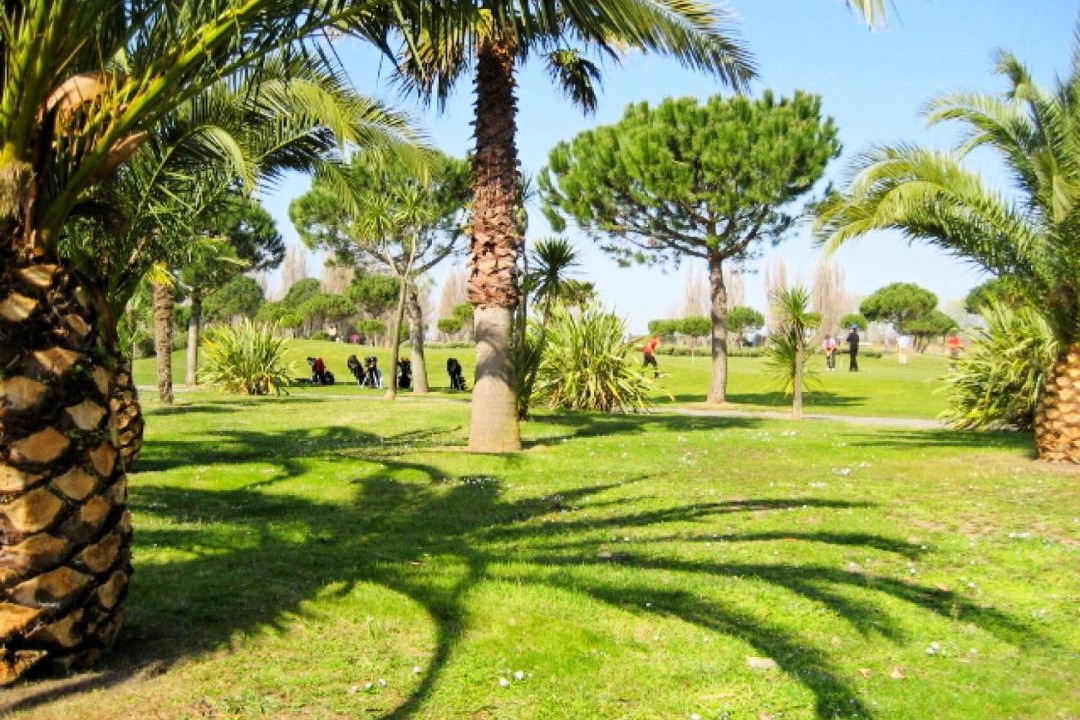 Photo of Others in La Grande-Motte