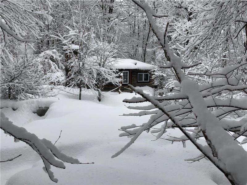 Photo of Others in Brownsburg-Chatham