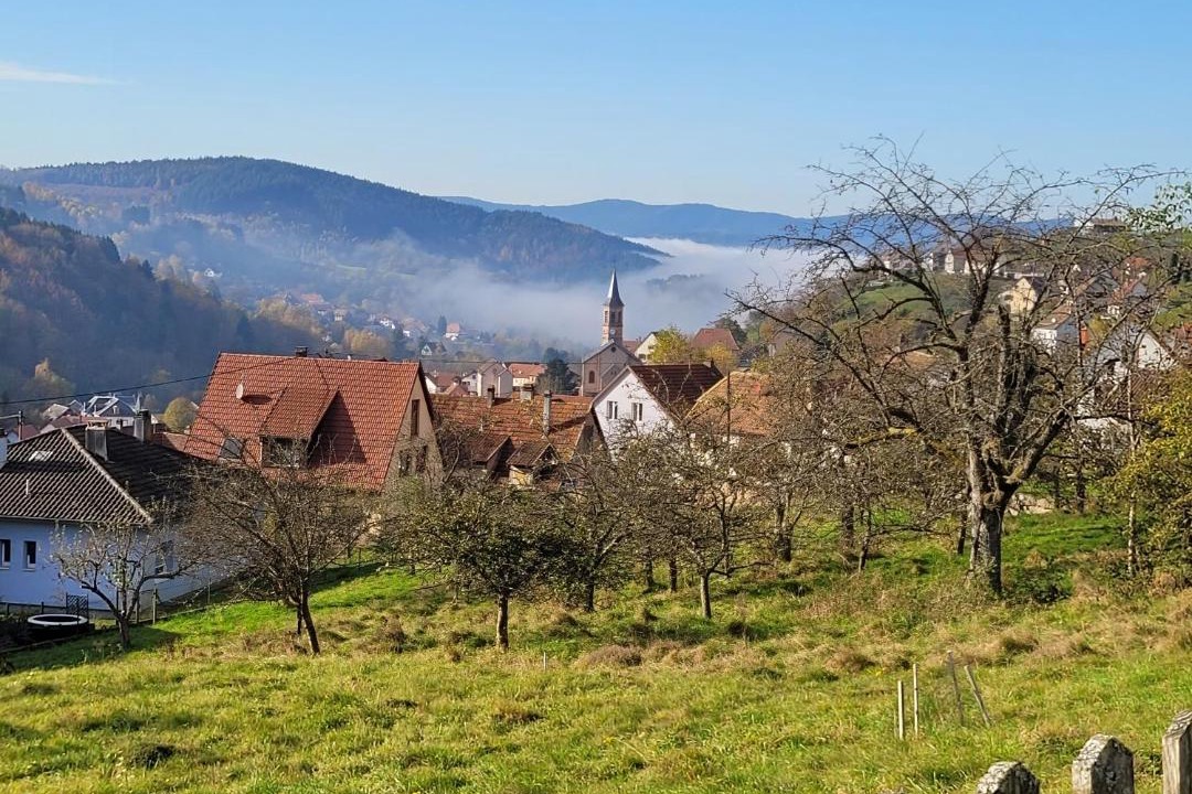 Photo of Others in Natzwiller