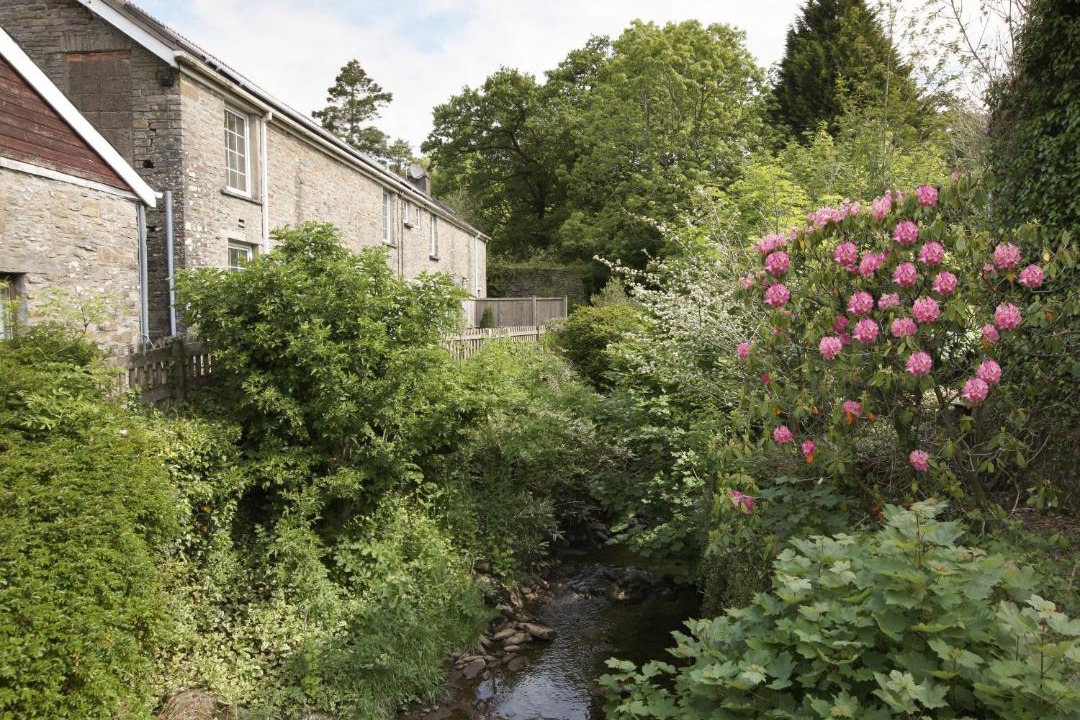 Photo of Others in Margam