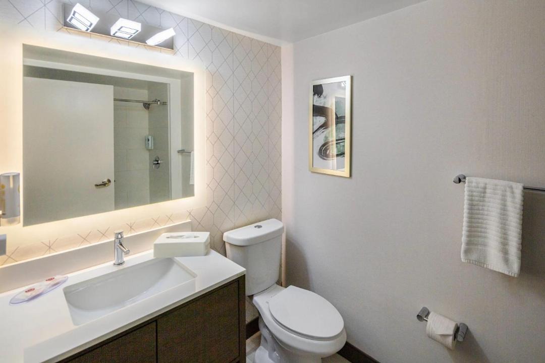 Photo of Others in Halifax