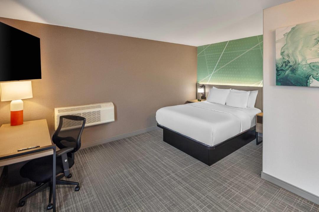 Photo of Others in Halifax