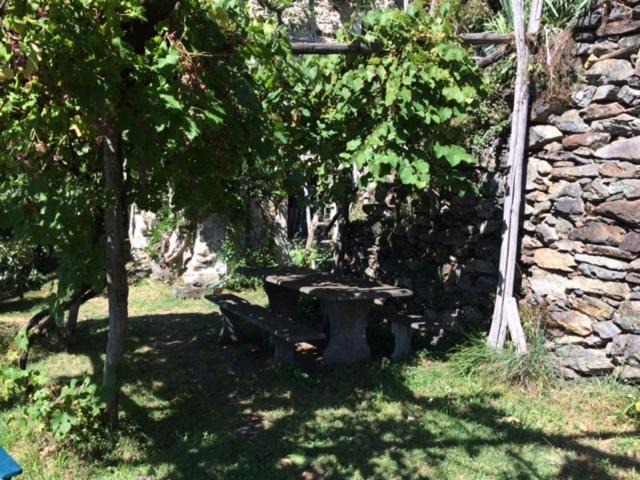 Photo of Others in Ronco sopra Ascona