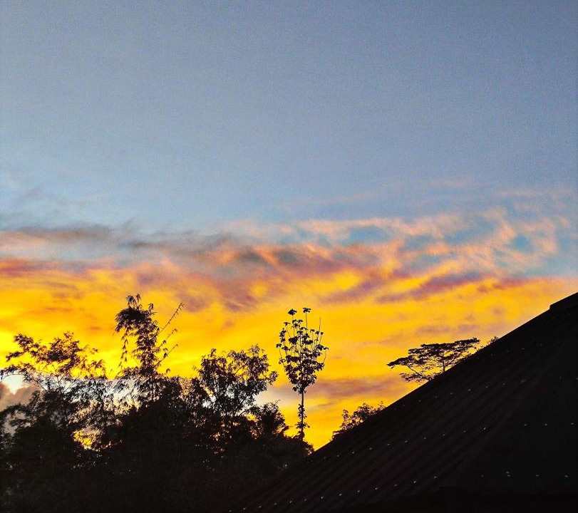 Photo of Others in Kecamatan Pringgasela