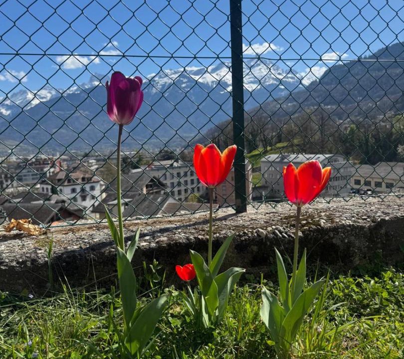 Photo of Outdoor in Monthey