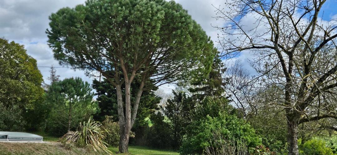Photo of Outdoor in Lacepede