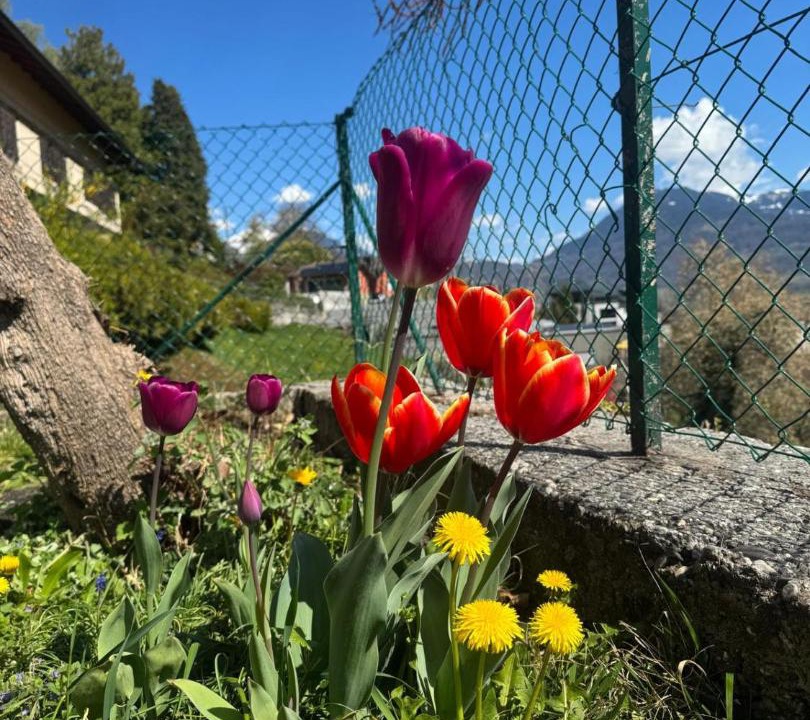 Photo of Outdoor in Monthey