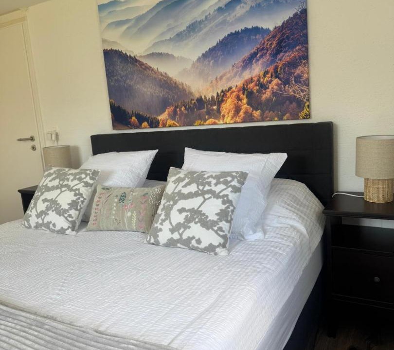 Photo of Bedroom in Monthey