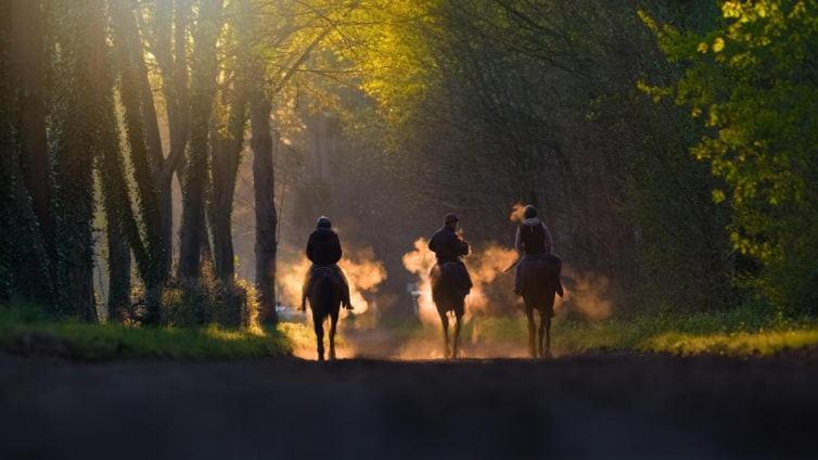 Photo of Others in Maisons-Laffitte