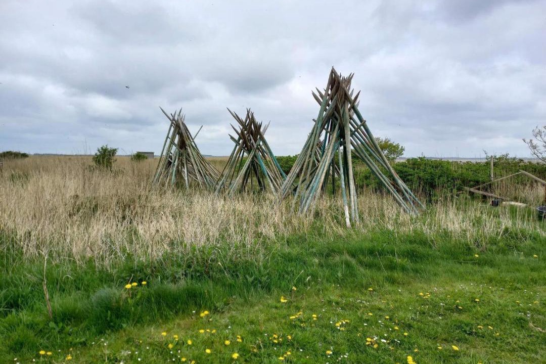 Photo of Others in Nørre Fjand