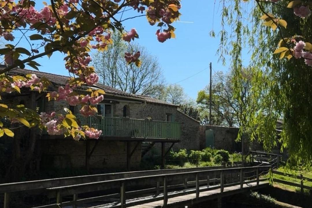 Photo of Others in Saint-Vincent-Sterlanges