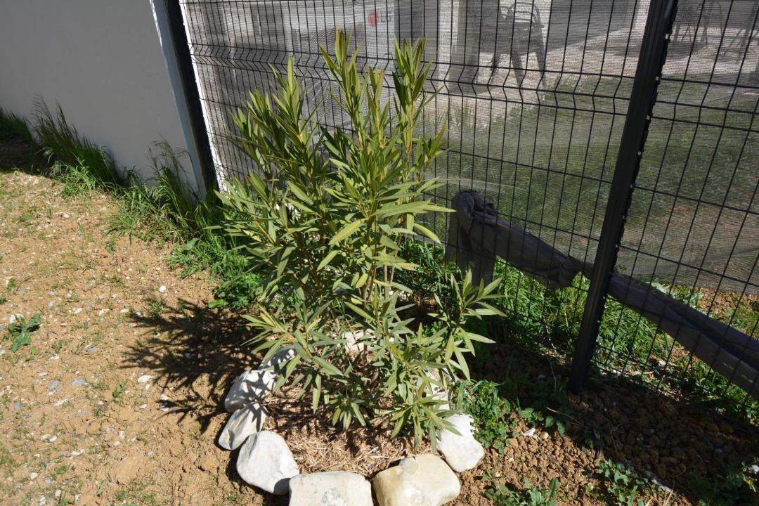Photo of Outdoor in Ruoms
