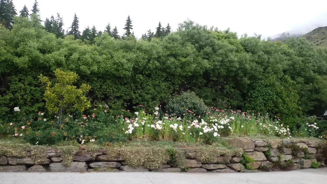 Photo of Outdoor in Wanaka