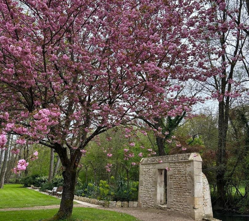 Photo of Others in Migne-Auxances