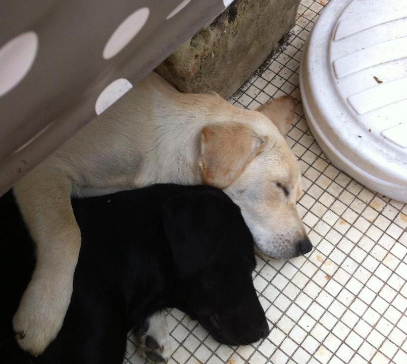 Photo of Others in L'Huisserie