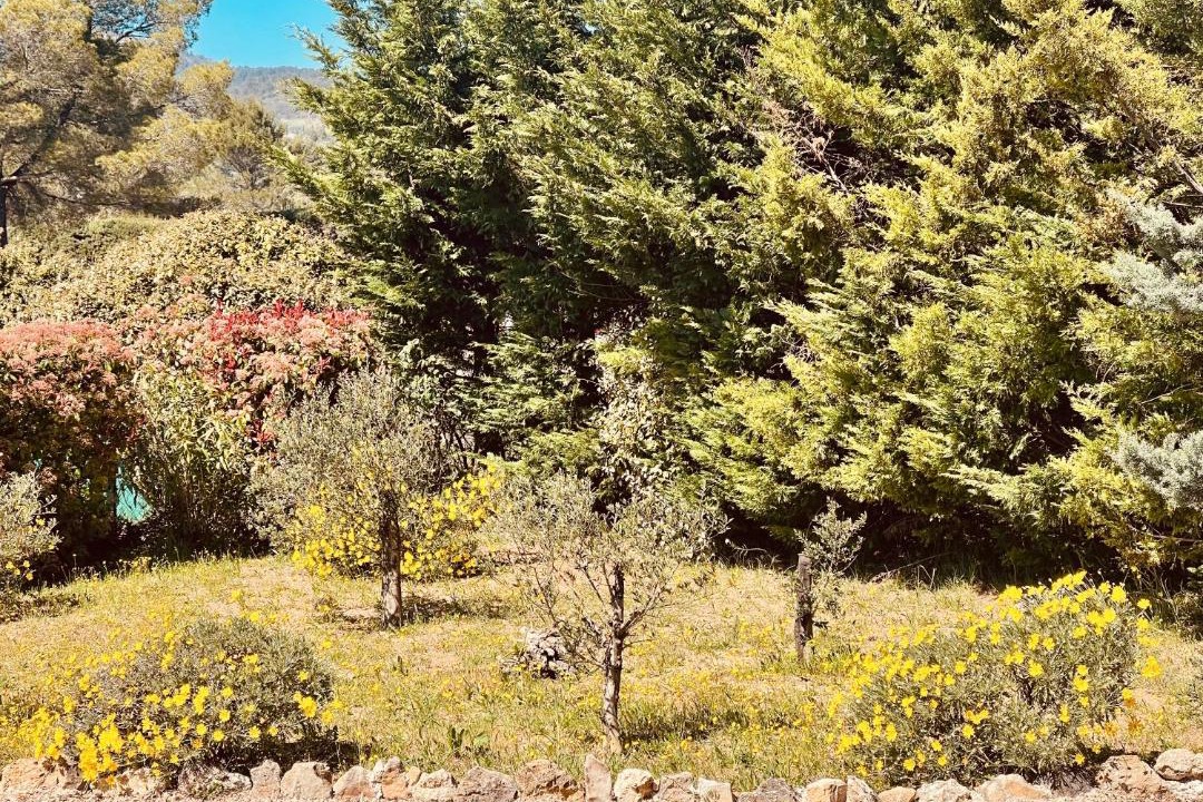 Photo of Others in Fayence