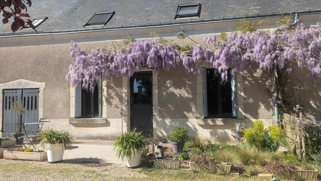 Photo of Others in Azay-sur-Cher