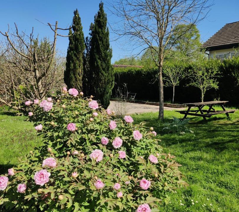 Photo of Outdoor in La Resie-Saint-Martin