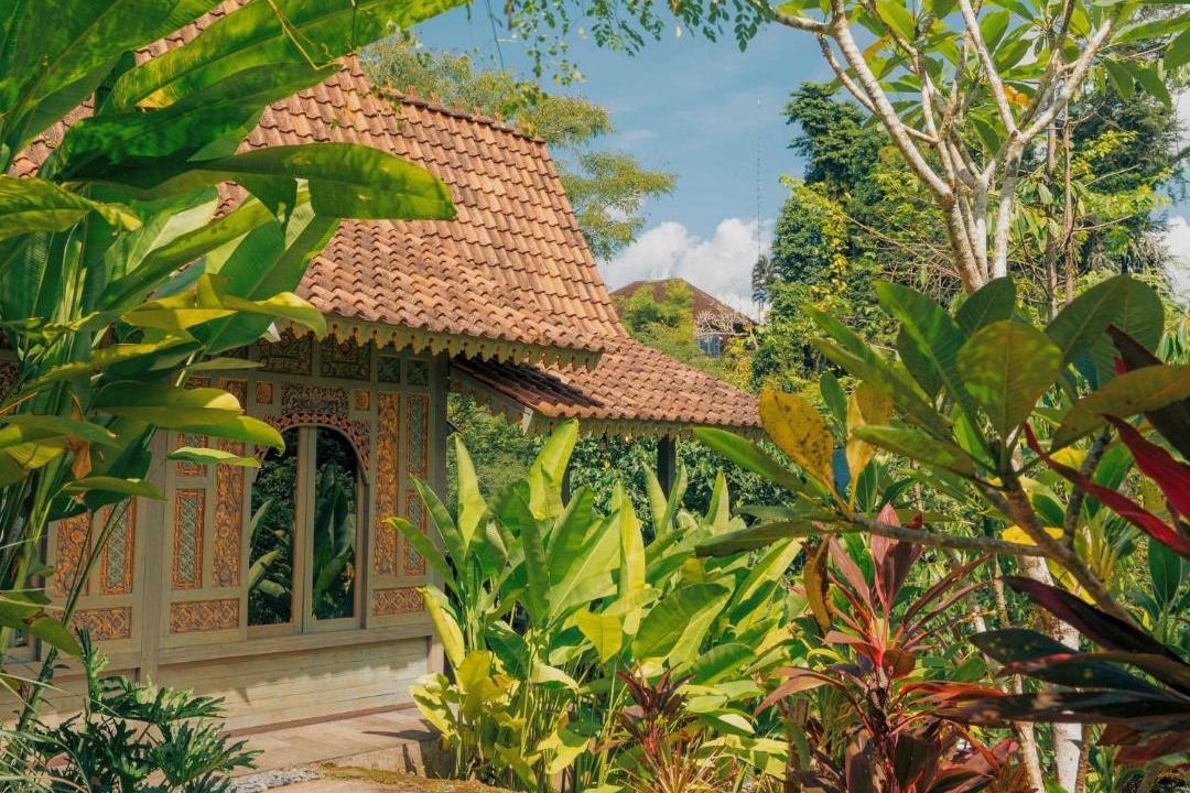 Photo of Others in Ubud