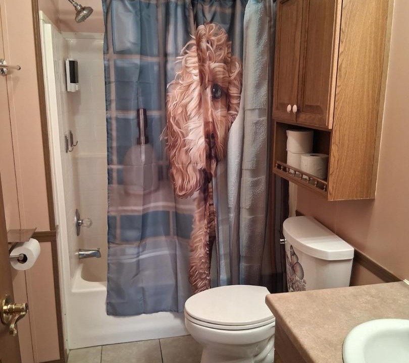 Photo of Bathroom in Wyandotte