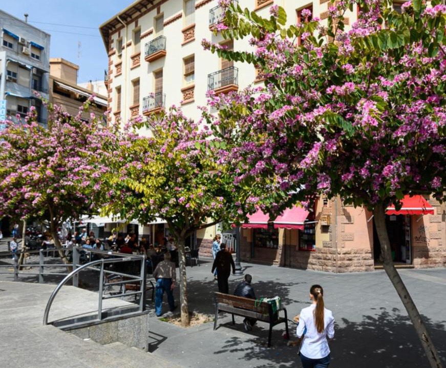 Photo of Others in Alicante