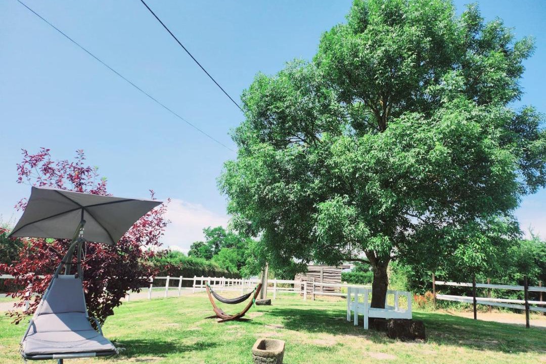 Photo of Outdoor in Maisonnais
