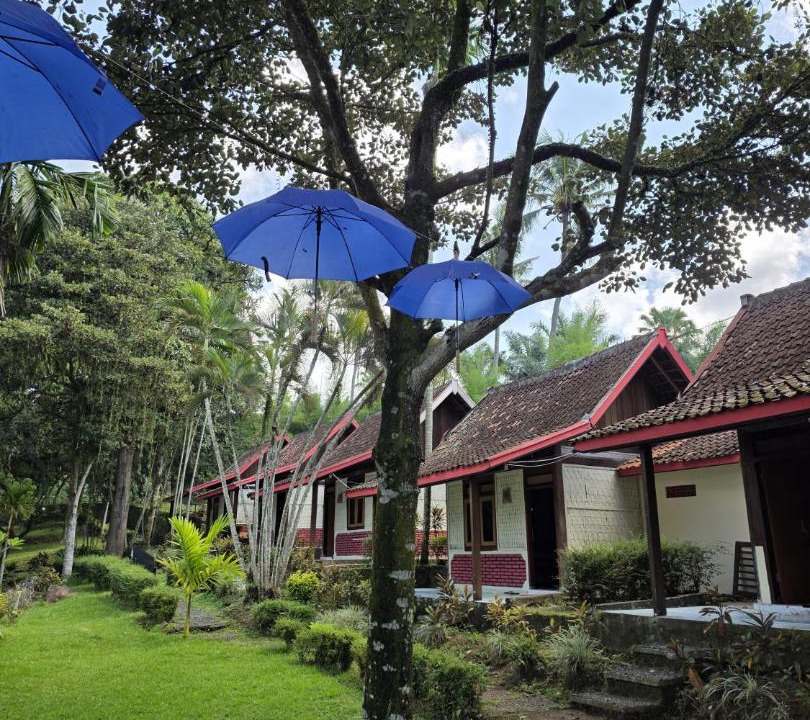 Photo of Others in Banyuwangi